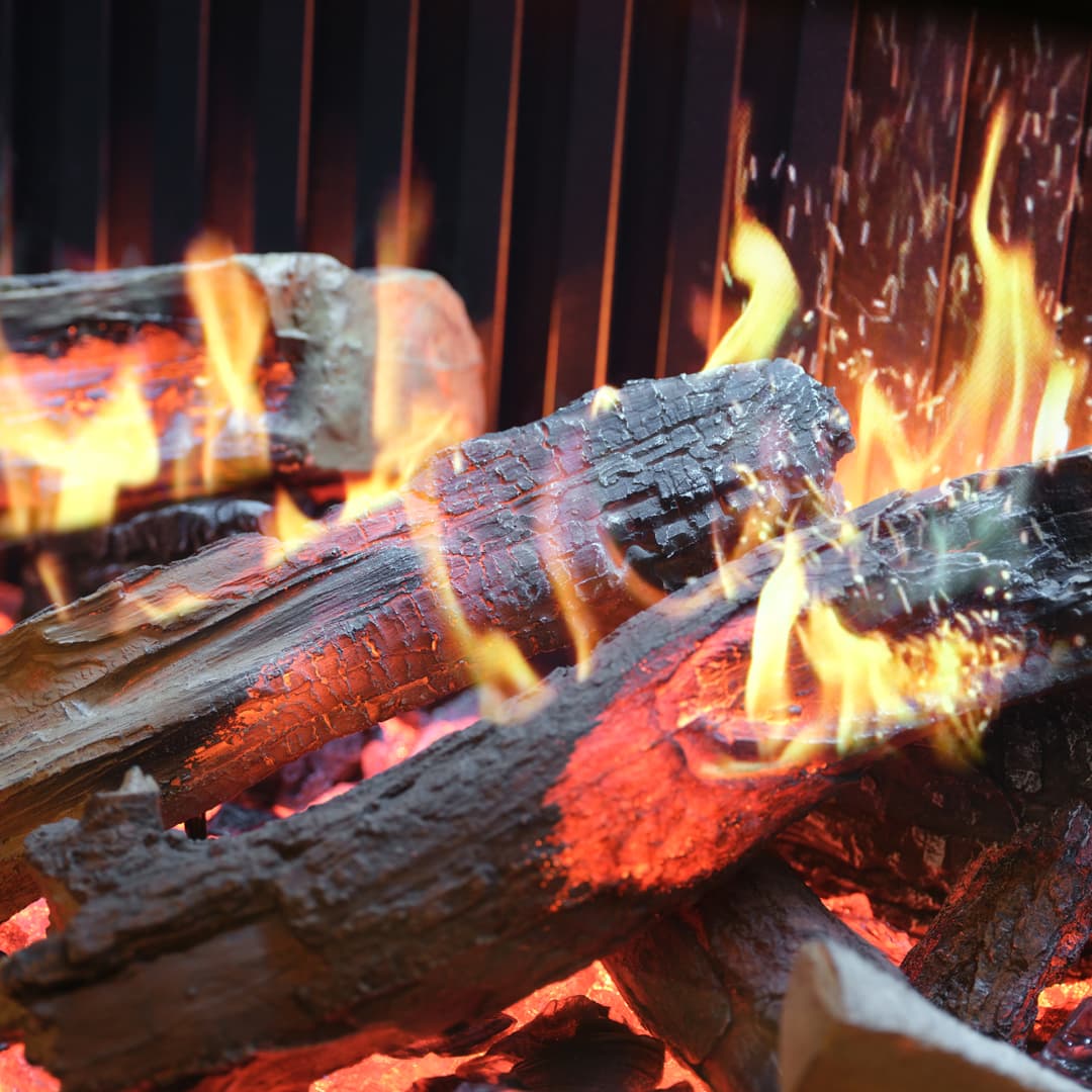 Rinnai EL series with realistic flame effects