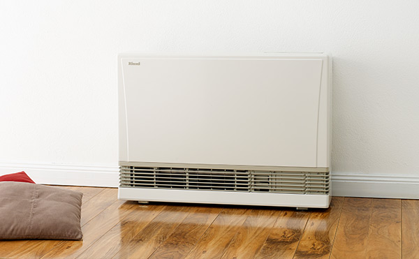 rinnai 1005fdt
