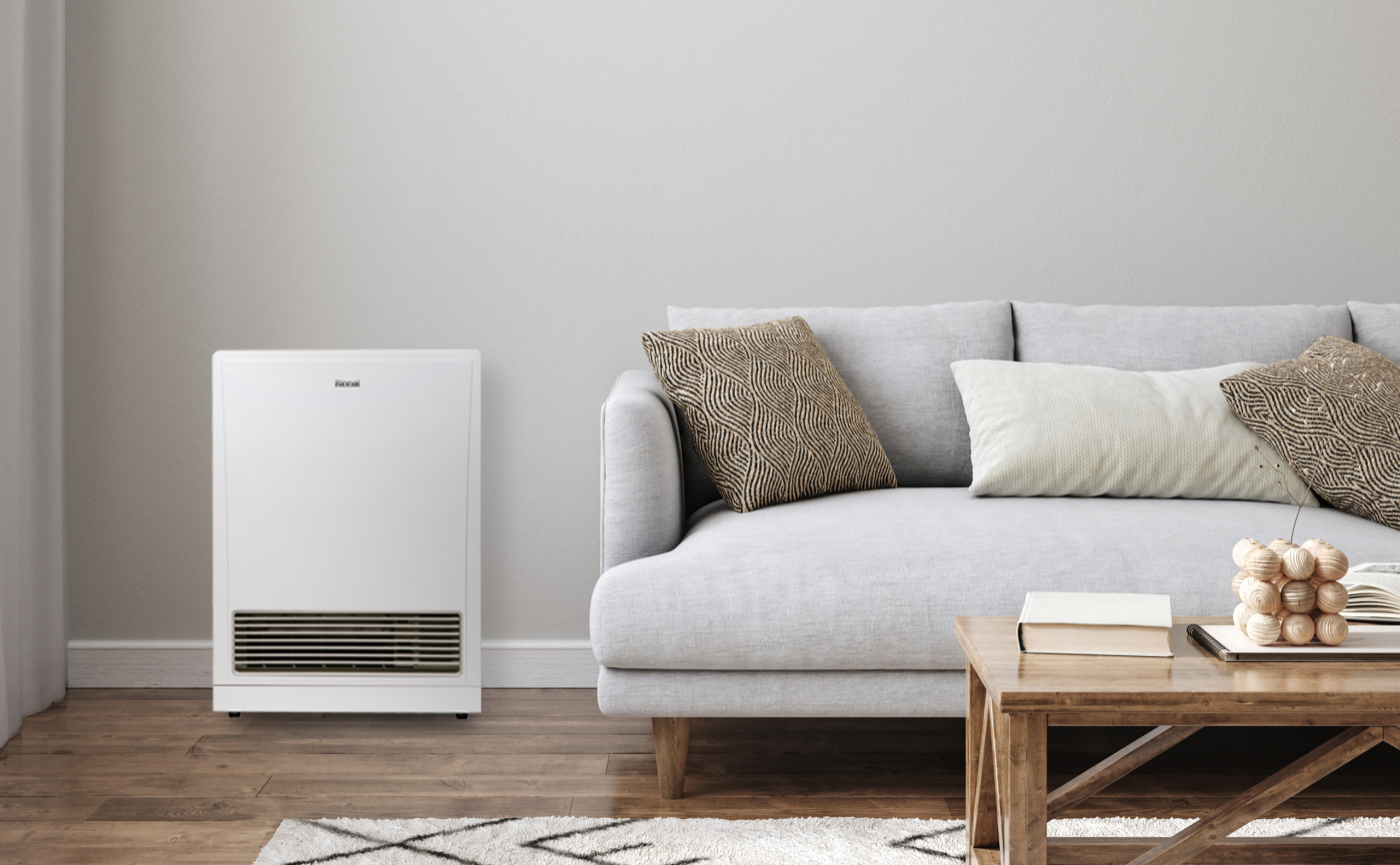 Rinnai Energysaver 561FT Gas Heater (living)