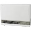 Rinnai Energysaver Heaters 1005FDT (Commercial) 1005FTSN Product Image Right Angle
