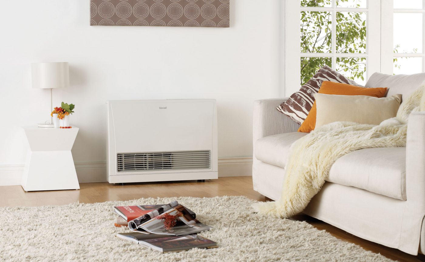 Rinnai Energysaver Gas Heater (living)