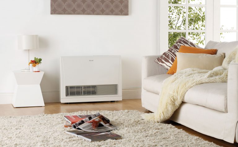 Rinnai Energysaver 1005FT Gas Flued Heater