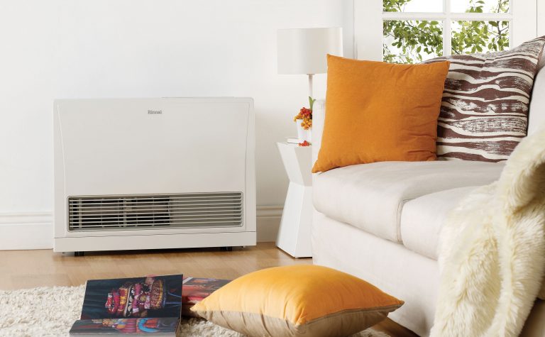 Rinnai Energysaver 1005FDT Commercial Gas Flued Heater