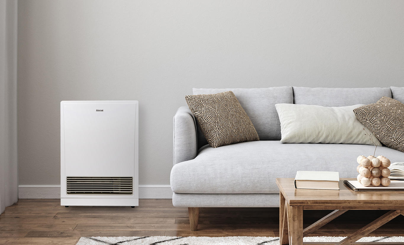 Energysaver 561FT Gas Flued Heater