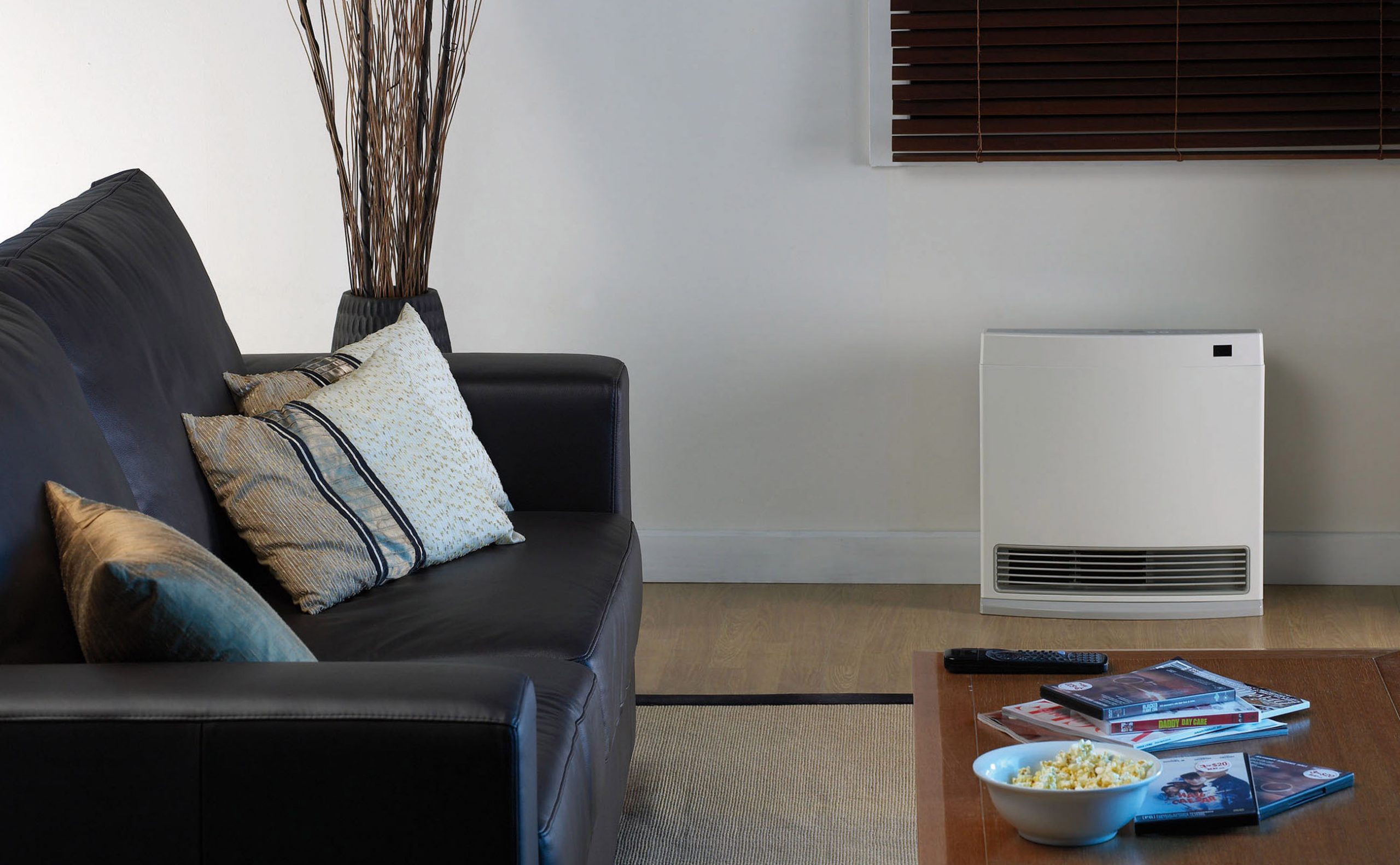 Rinnai Dynamo 15 Convector Portable Gas Heater (lifestyle - living room)